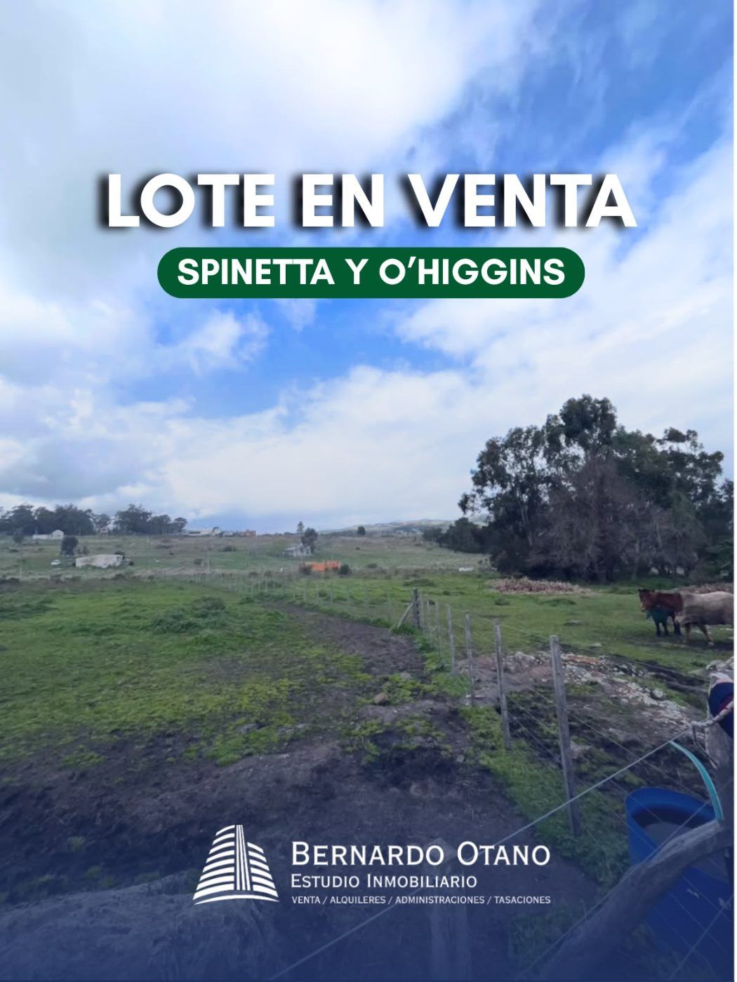 Imagen principal de la propiedad