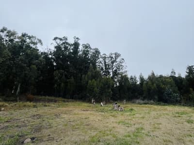 Imagen de la propiedad 2